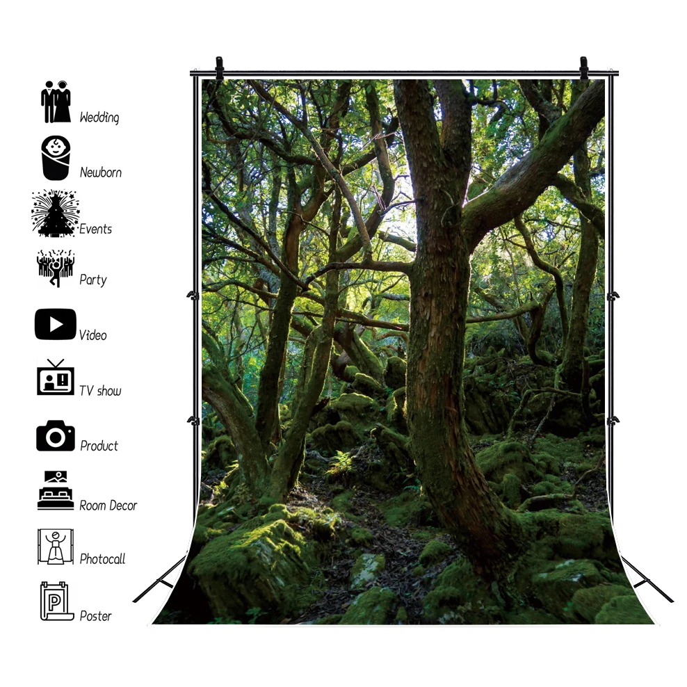 Natural Virgin Forest Fotografia Fundos, Rainforest folhas verdes, Nature Scenic Retrato, Photo Backdrops