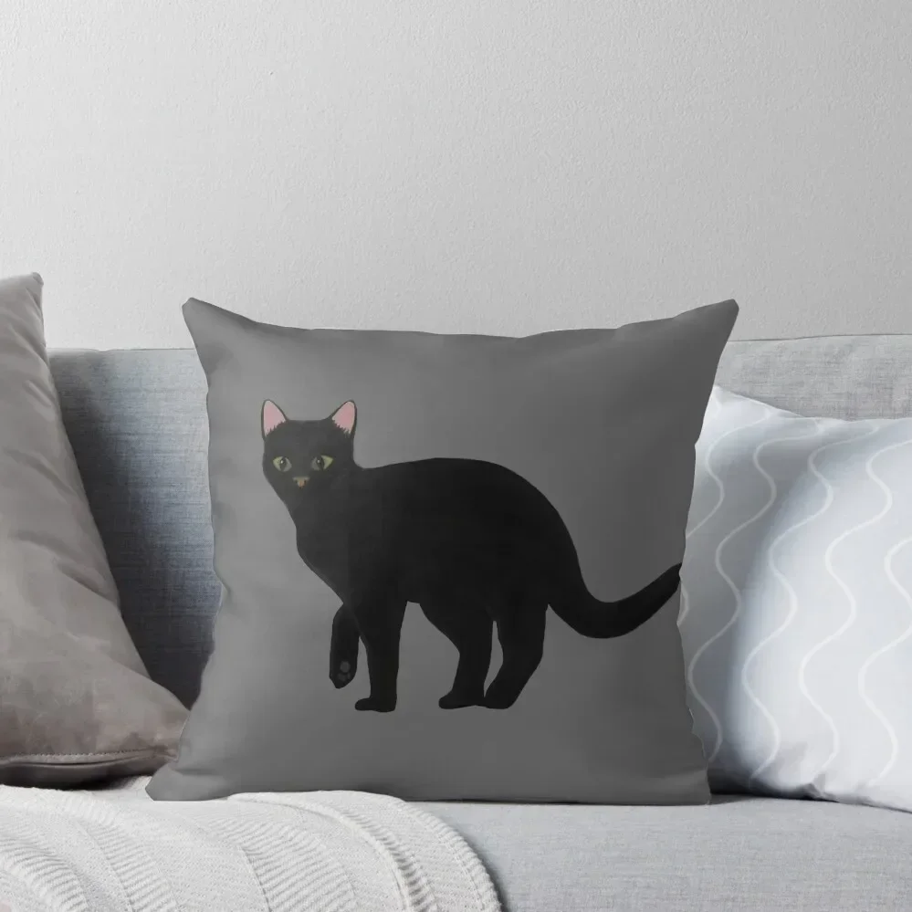 My black cat #1 Throw Pillow Cushions For Children Cushion Cover Luxury Cushion Cover Set pillow