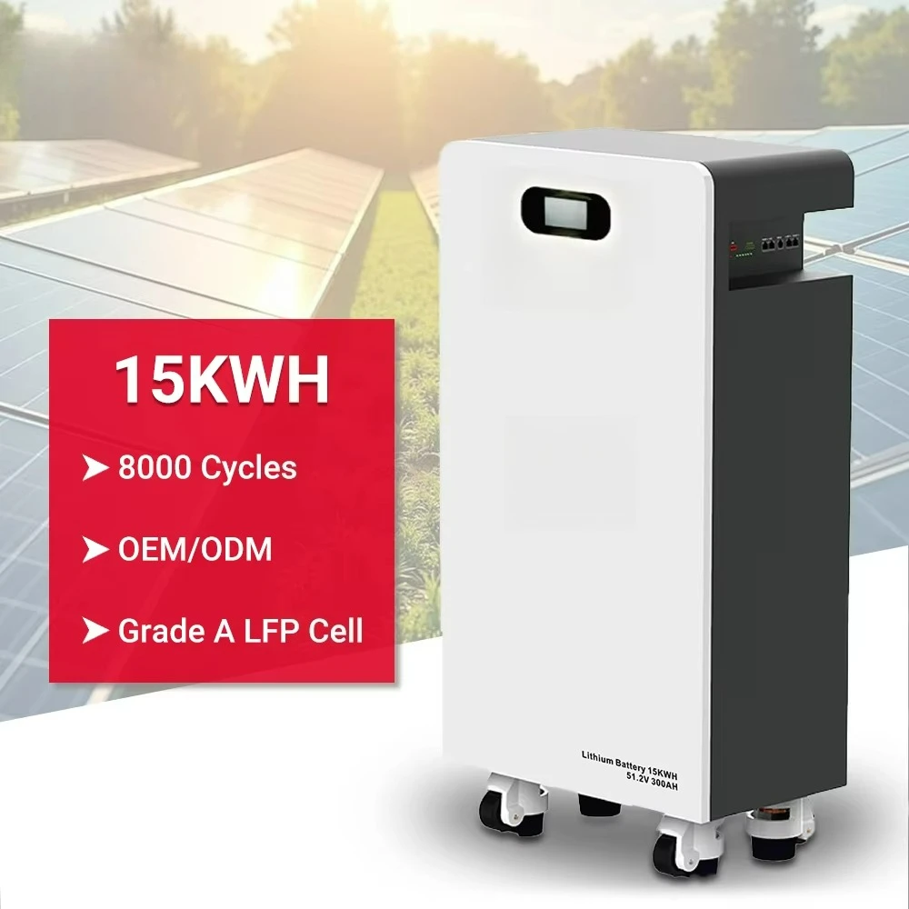 

Removable split energy storage battery 300AH 51.2V LiFePO4 lithium battery with CAN communication function