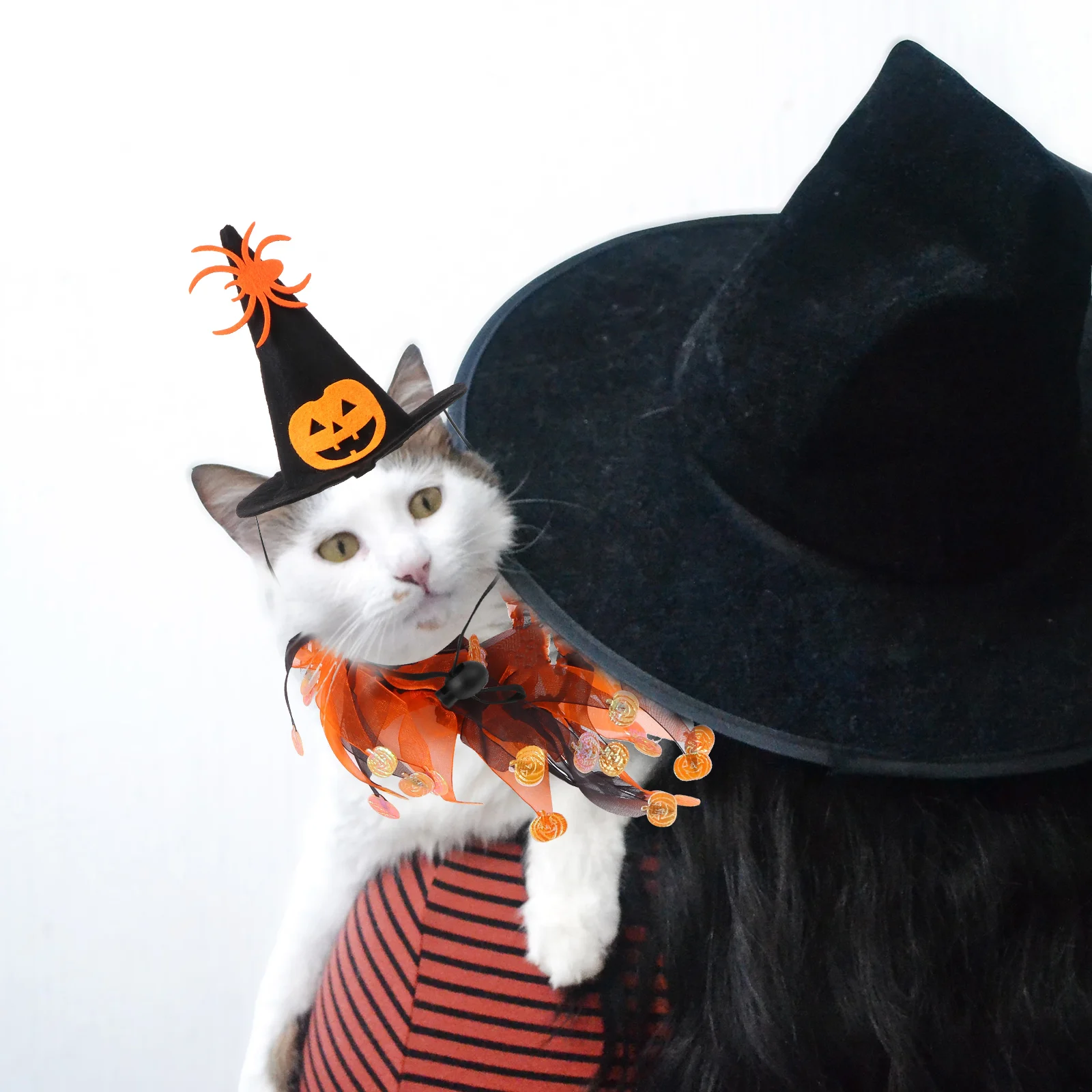 

Scarves Cat Hat Scarf Halloween Costumes for Pets Wall Hanging Accessories Supplies Black