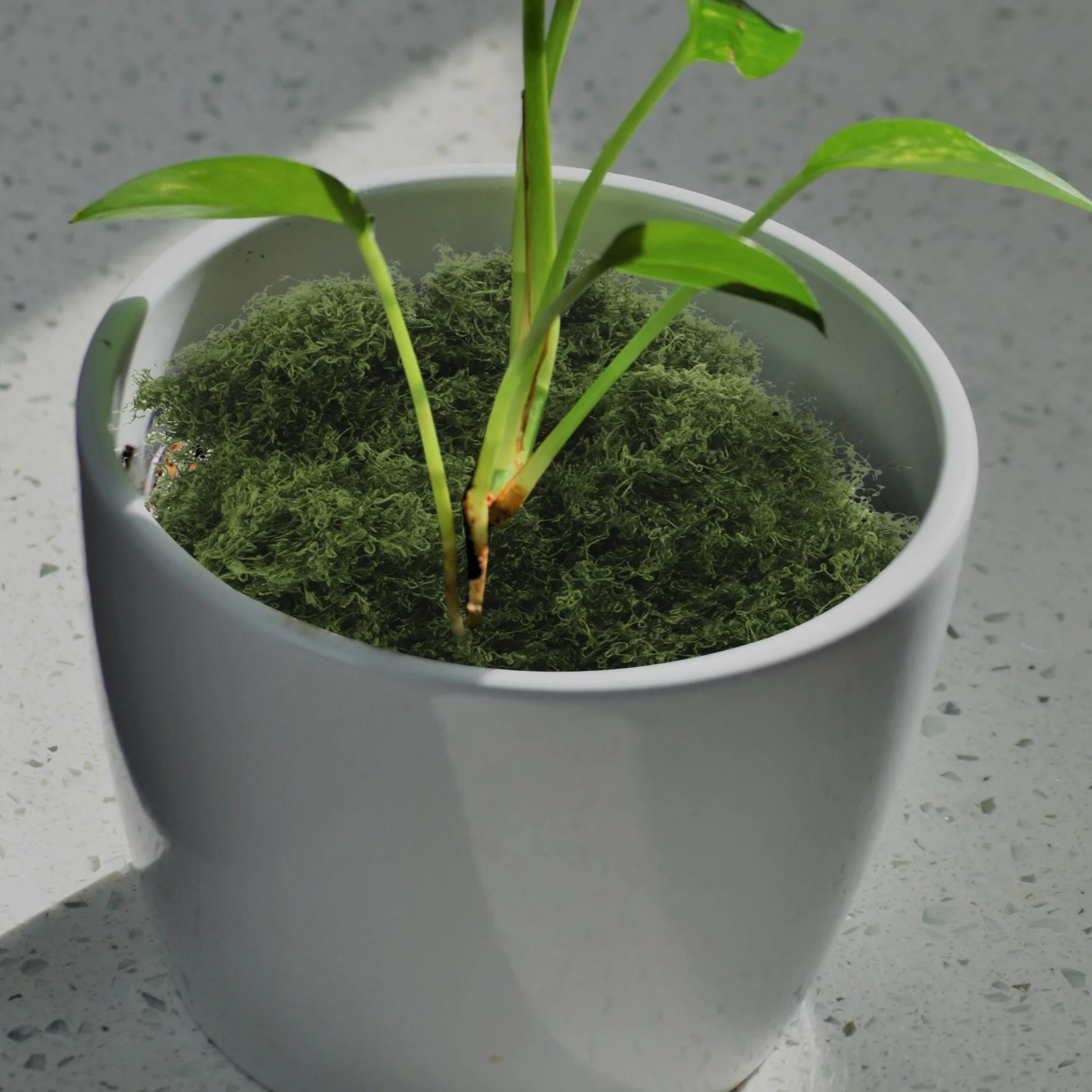 

Artificial Moss Mat Lifelike Indoor Greenery For Office Home Garden Diy Fake Grass For Crafts Planters Terrariums