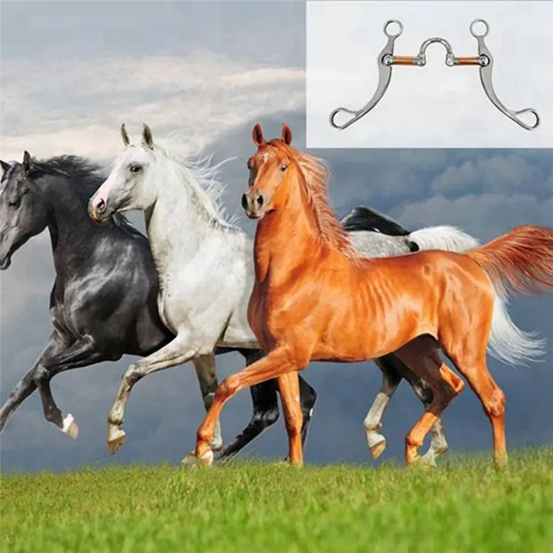 a58z-stainless-steel-snaffle-bit-horse-bits-western-snaffle-bits-for-mouth-training-bit-with-copper-port