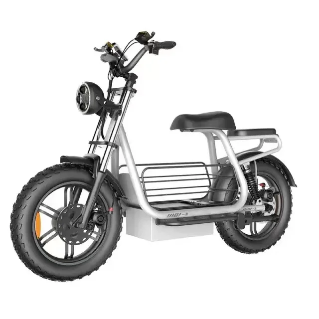 

750w 1500w Fat Tire Electric Vehicle custom