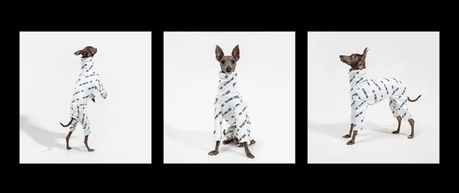 Italian Greyhound Clothes Winter Warm Dog Clothes Print Whippet Clothes Greyhound Dog Coat Four-legged Elastic Pet Clothes