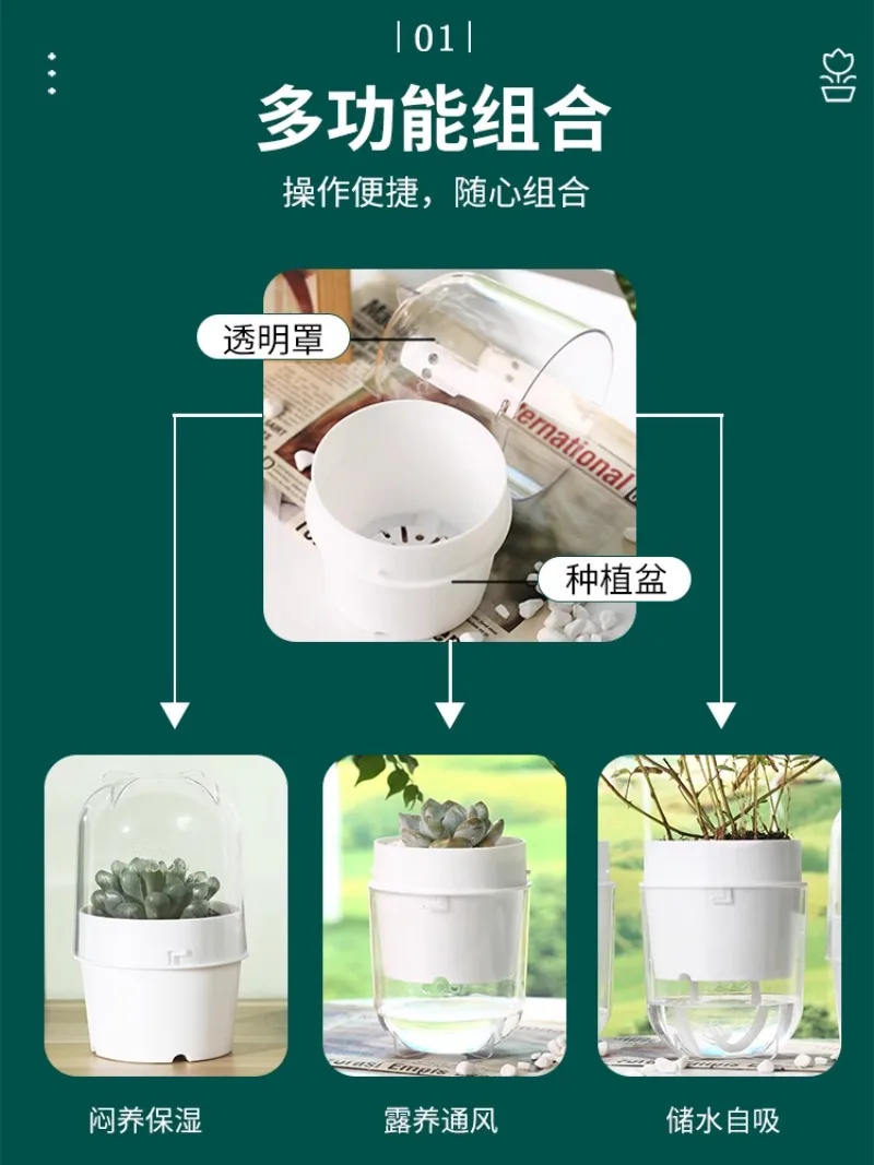 Transparent Cover Plant Moisturizing and Water Storage Automatic Water Absorption Fleshy and Breathable Root Control Flowerpot