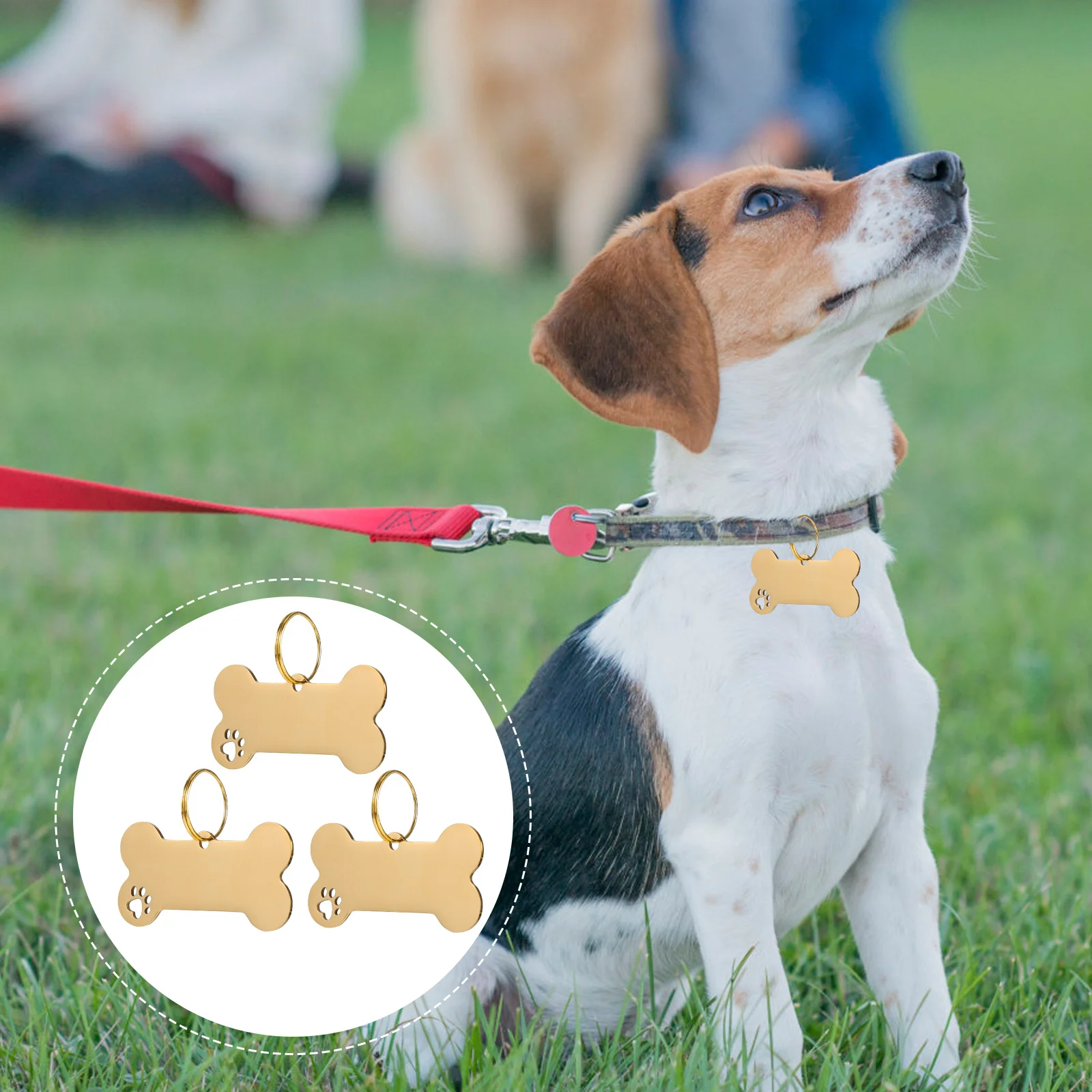 

1Set Stainless Steel Pet Dog Tag Durable Stylish Id Tag Hanging Charm Pet Tags Dog Id Tags
