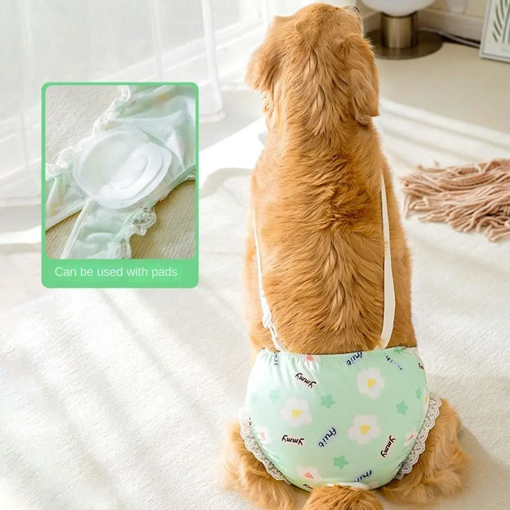 Bragas sanitarias reutilizables para mascotas, transpirables con correas, tirantes para perros, pantalones fisiológicos, ropa interior elástica ajustable para mascotas