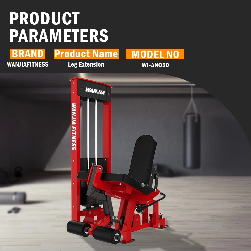Factory Direct Supply Commercial Steel Gym Fitness Strength Leg Muscle Exercise Training Pin Loaded Leg Extension Machine