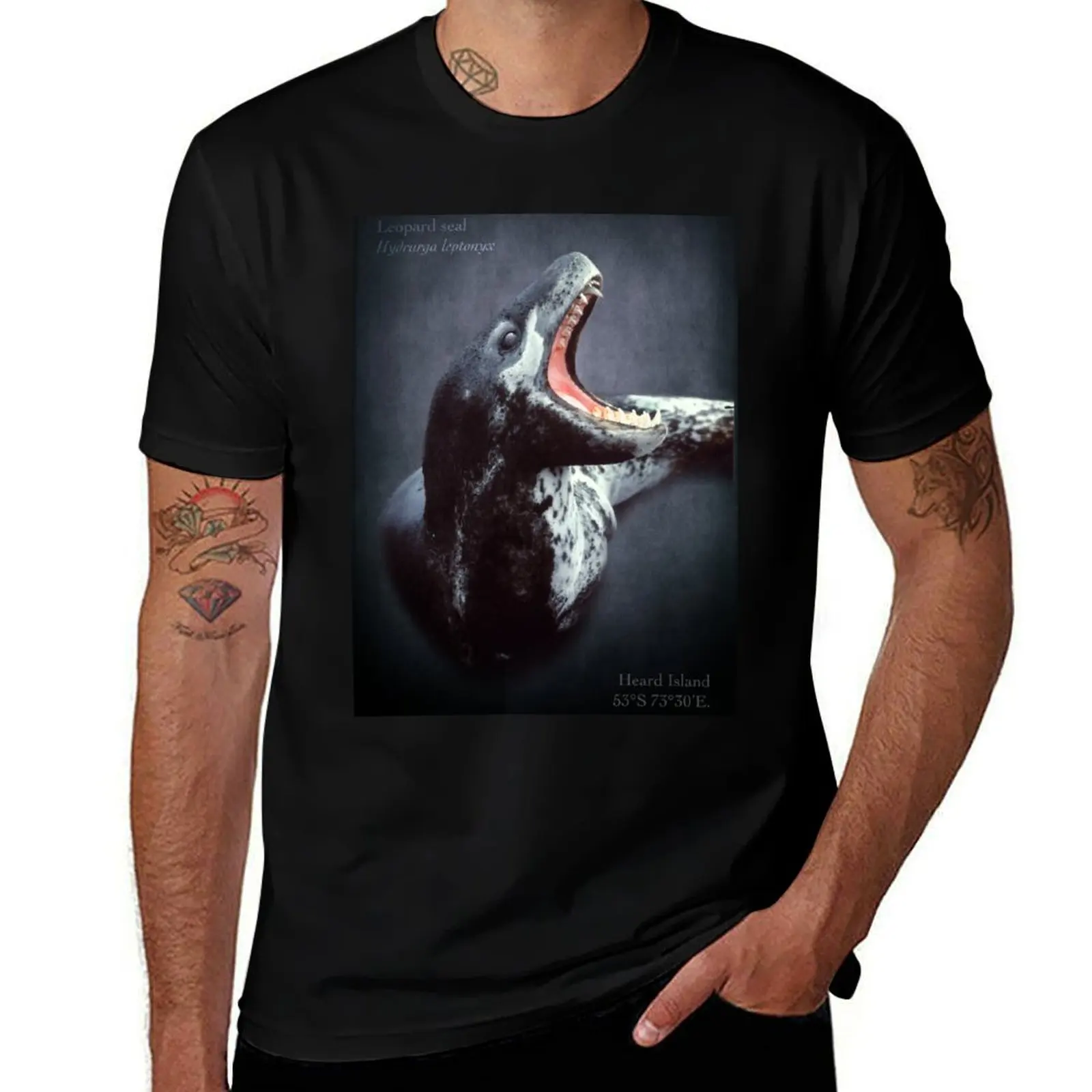 

Lethal weapons - leopard seal T-Shirt Regular Fit Plain Tee Shirt