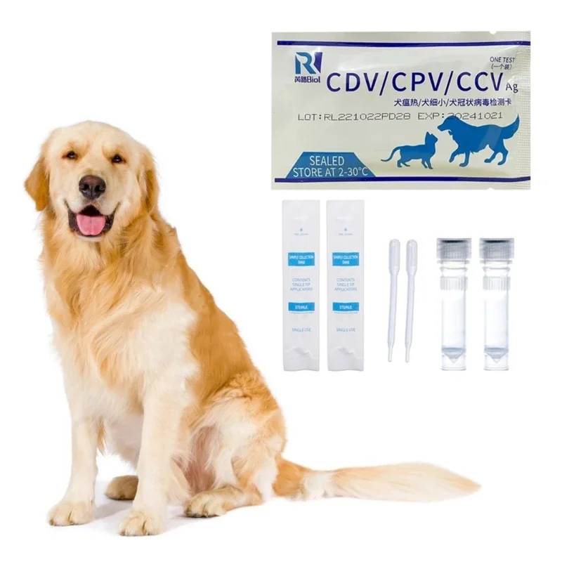 

CDV CPV CCV Dog Testing Kits for Pet Dogs Efficient and Fast Test Strips 10pcs