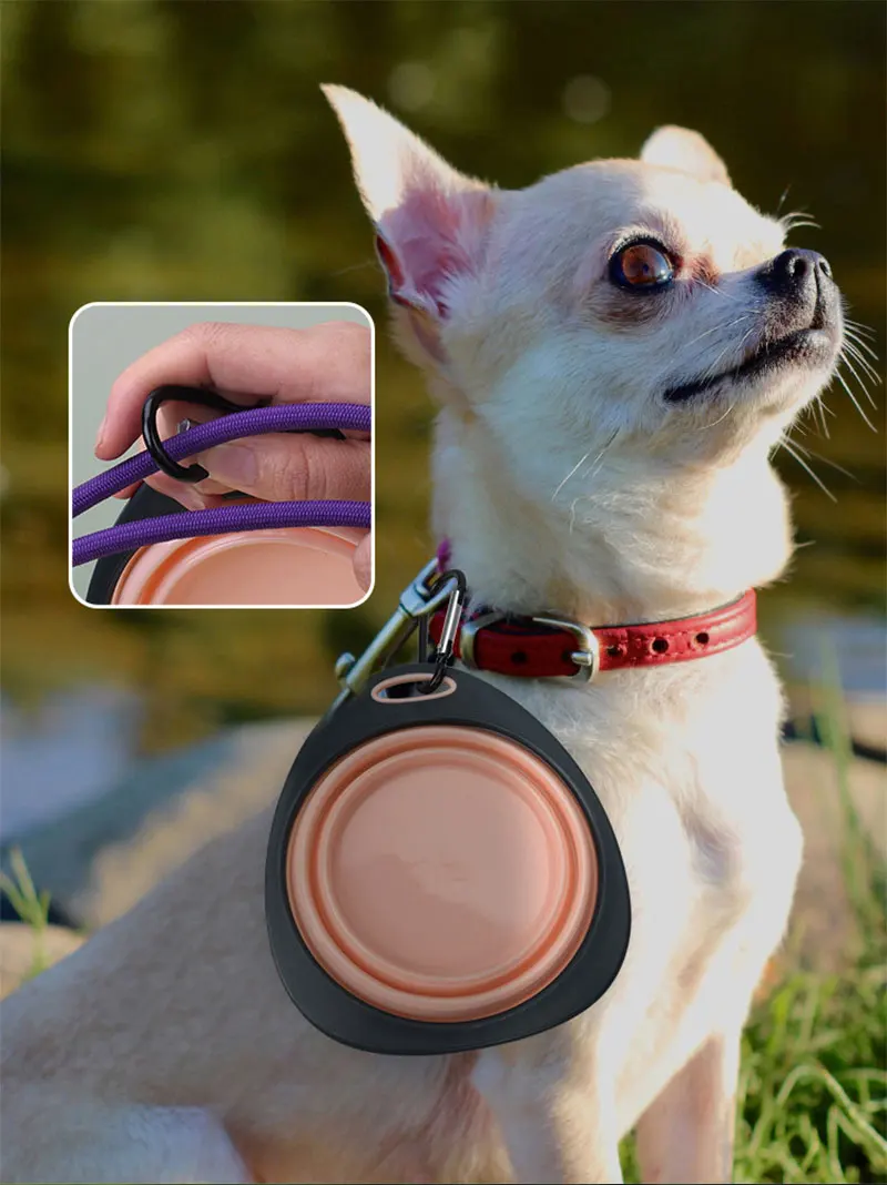 Faltbare Silikon-Schüssel für Haustiere, zusammenklappbar, für Hunde, Reisen, tragbar, Welpen-Futterschale, Silikon-Hundenapf, 2-in-1 – Detail 8