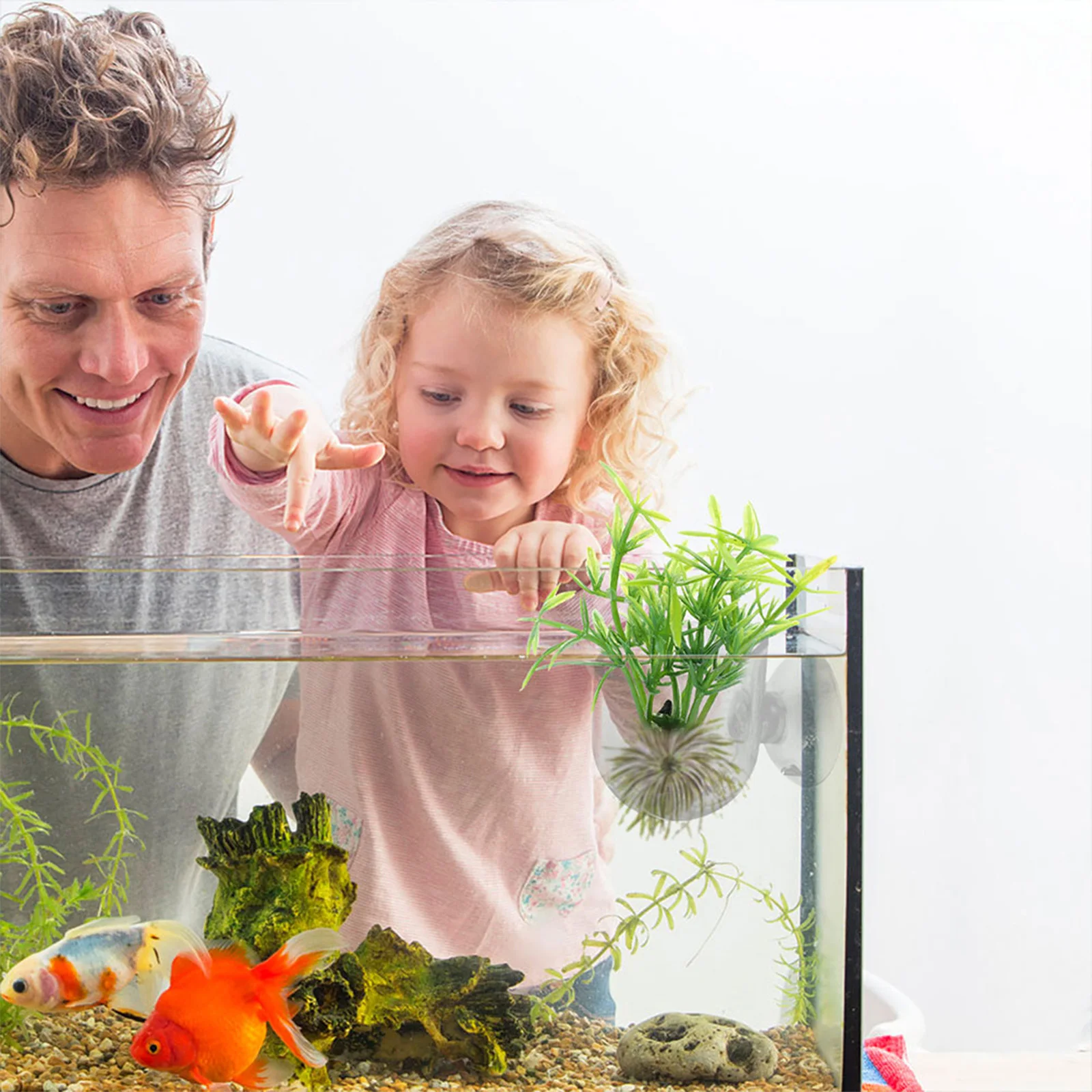 

6Pcs Acrylic Aquarium Plant Holder Suction Cup Fish Tank Flowerpot Fish Food Dispenser Planter Aquarium Plant Pots