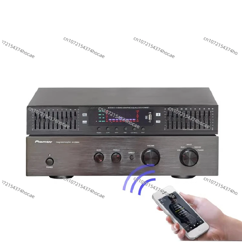 Equalizzatore preamplificatore stereo HD digitale HIFI 220V USB integrato Bluetooth equalizzatore da palco domestico doppio 10 segmenti EQ-898