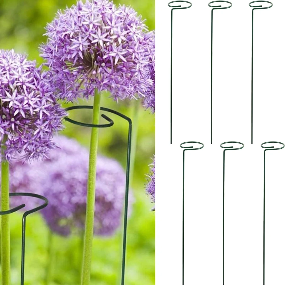 Strong and Sturdy Plant Stakes 6 Pieces with Clips Perfect for Amaryllis Orchids Lilies Roses and More 25 40 45cm