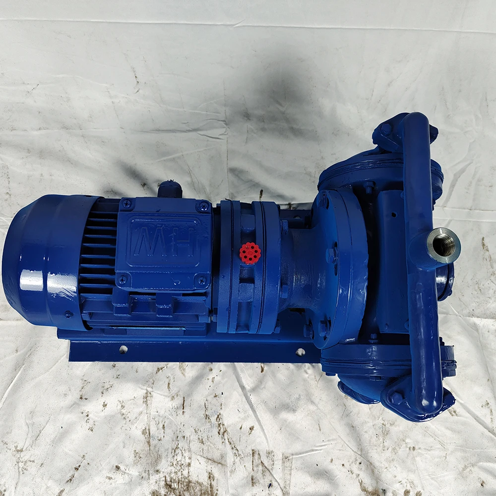 High Quality Iron Horizontal Pump Electric Diaphragm Pump High Viscosity Chemical Liquid Transfer Pump