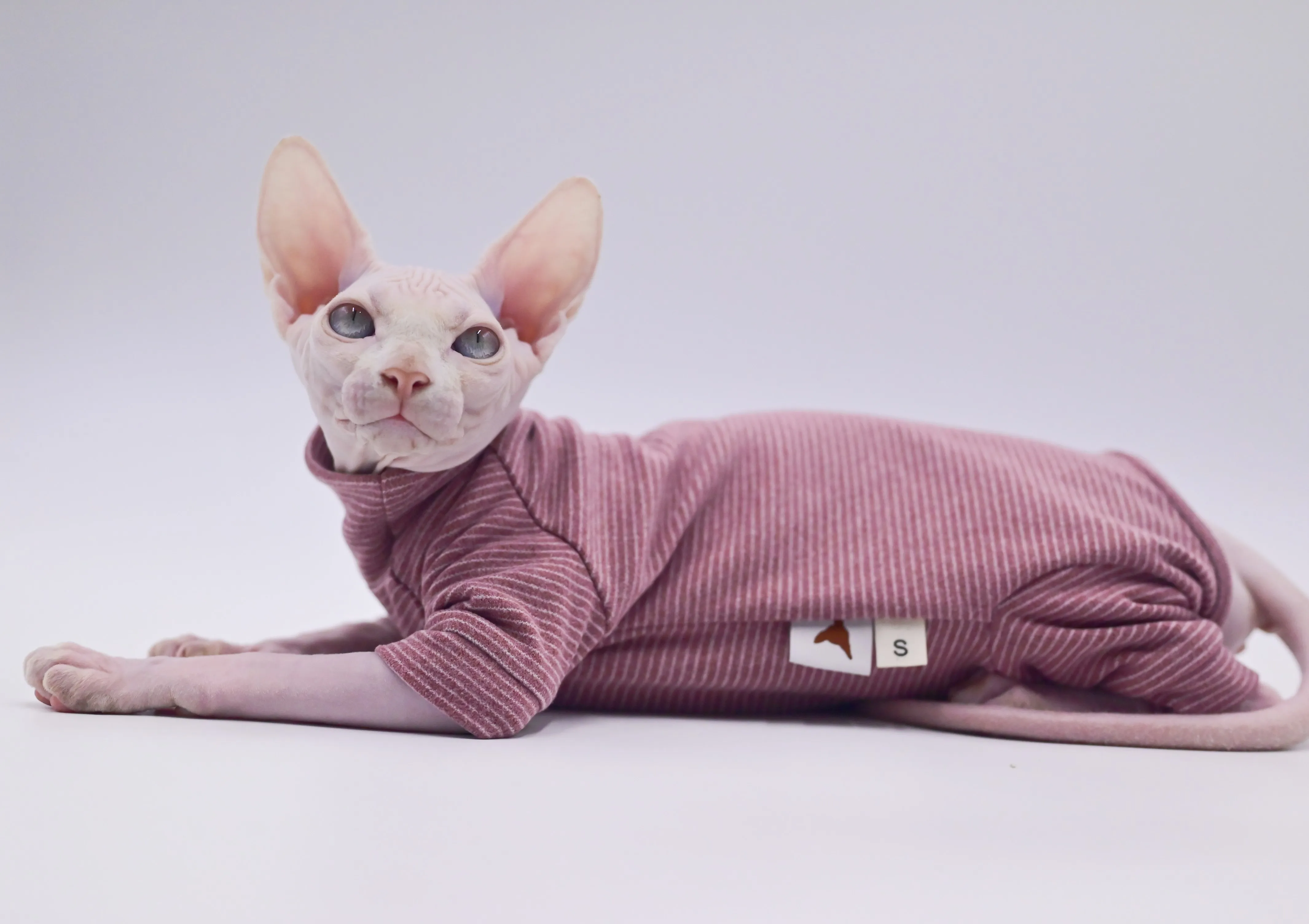 Roupas de gato sem pêlos com capuz de quatro pernas quente e macio para gatos Sphynx para outono e inverno para Devon Rex, Cornish