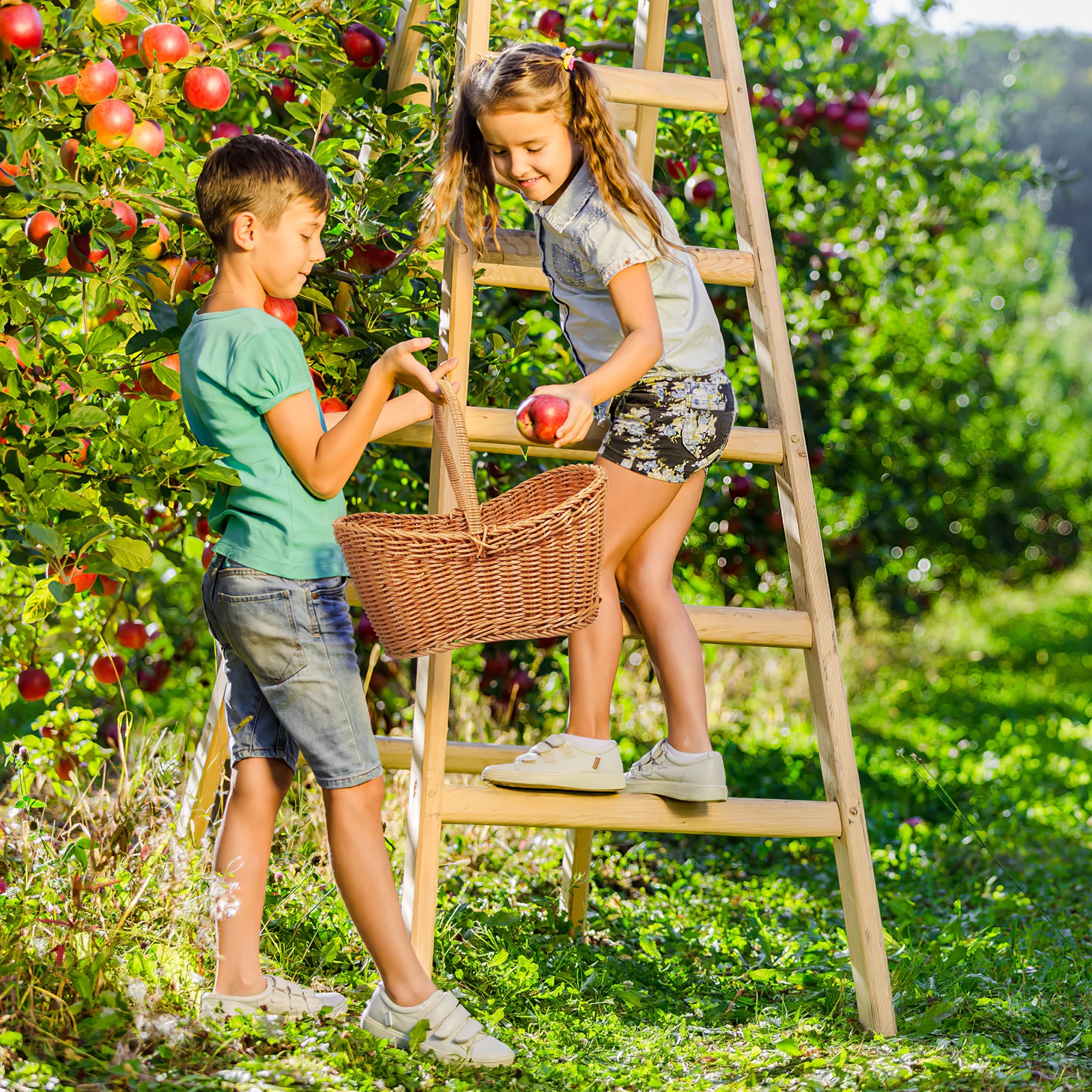 

Woven Storage Basket Handwoven Fruit Snack Basket Portable Decorative Food Holder for Picnic Outdoor Wine Festival Camping