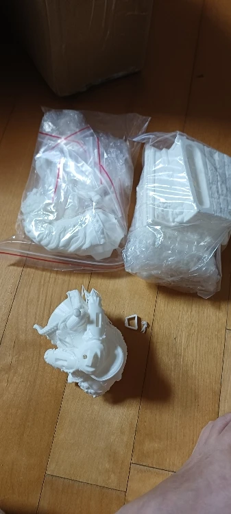 Buyer photo of this resin kit