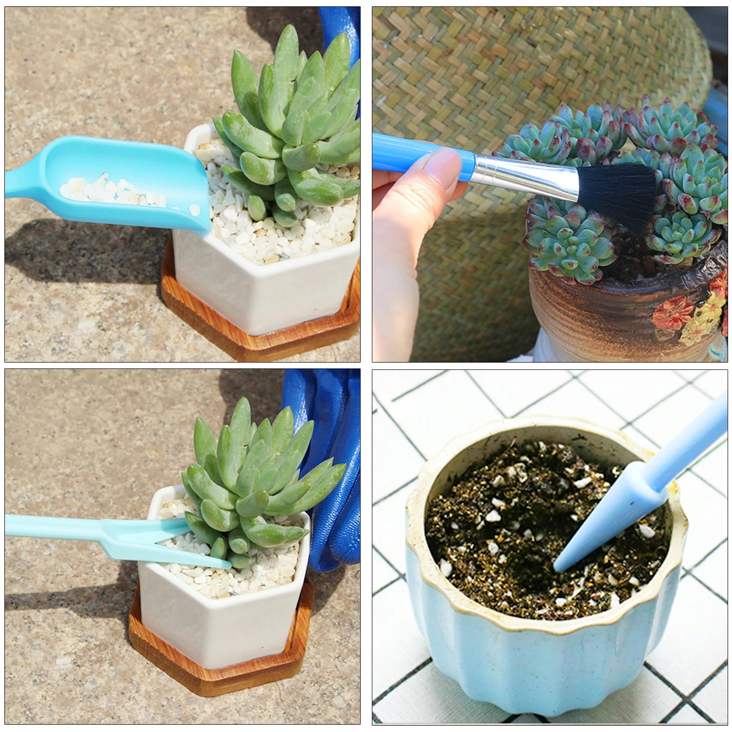 Ensemble d'outils de jardinage succulents de 12 pièces, mini kit d'outils de plantation/transplantation pour le soin des plantes de micro-jardin d'intérieur (bleu)