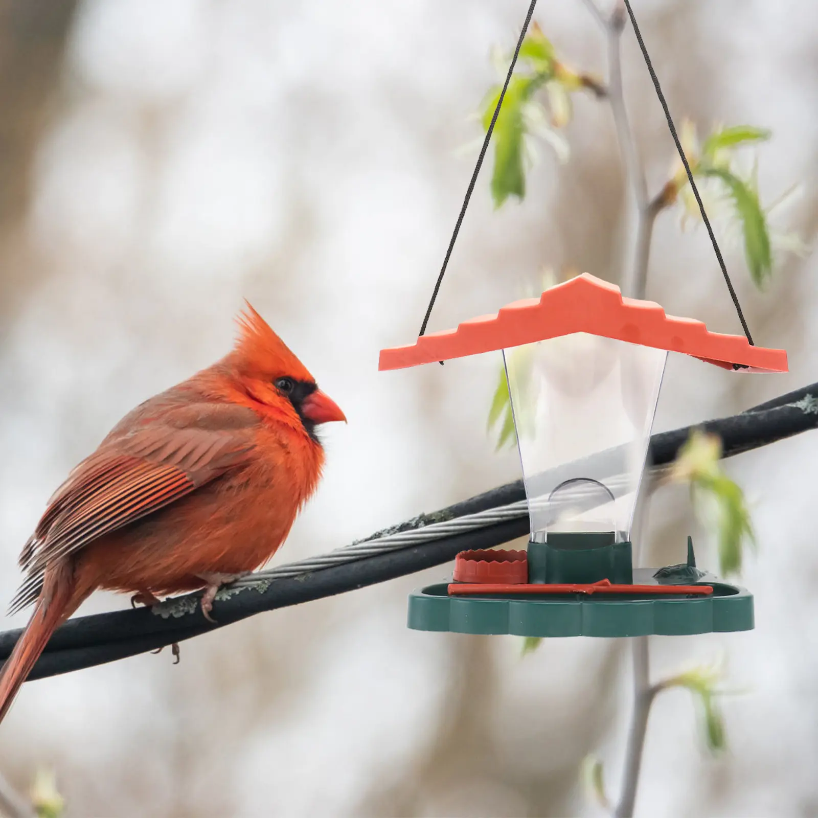 

1Set Multifunctional Hanging Bird Feeder Plastic Outdoor Garden Bird Feeding Tool Art Design Easy Install Clean Refill