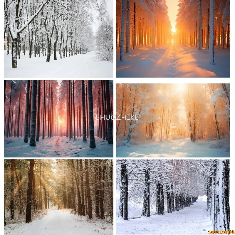 قطرات خلفية للتصوير الفوتوغرافي للغابات الشتوية ، طريق مغطى بالثلوج ، ندفات الثلج ، أشجار التنوب ، خلفية الصورة ،