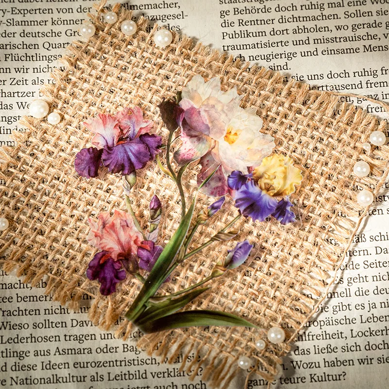 مجموعة ملصقات زخرفية مصنوعة يدويًا من Nature & Universe مكونة من 40 قطعة، مع مشهد طبيعي رائع وأنماط سماوية