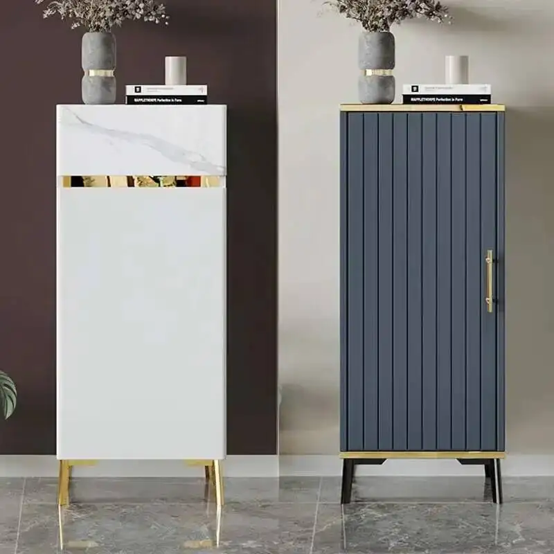 

Shoe Organizer Modern Cabinet Simplicity Doors Entryway Gray Nordic Designer Shoe Rack Space Saving Zapateros Home Furniture