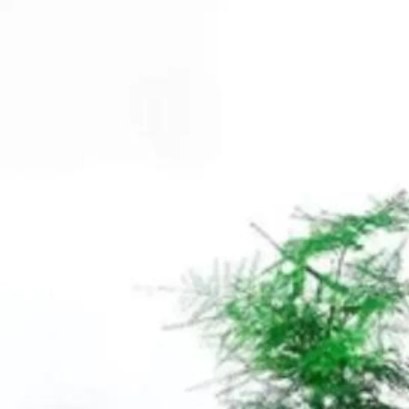 Nordic Plastic Hydroponic Vase Shatter Resistant Automatic Water Absorption Plant Pot Plastic Propagation Pot Desktop Flower Pot