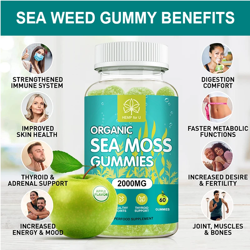 60 قطعة من علكات طحالب البحر الأيرلندية الطبيعية، صمغات نباتية وأرقطيون، تدعم المناعة والجوز والصحة العامة #2