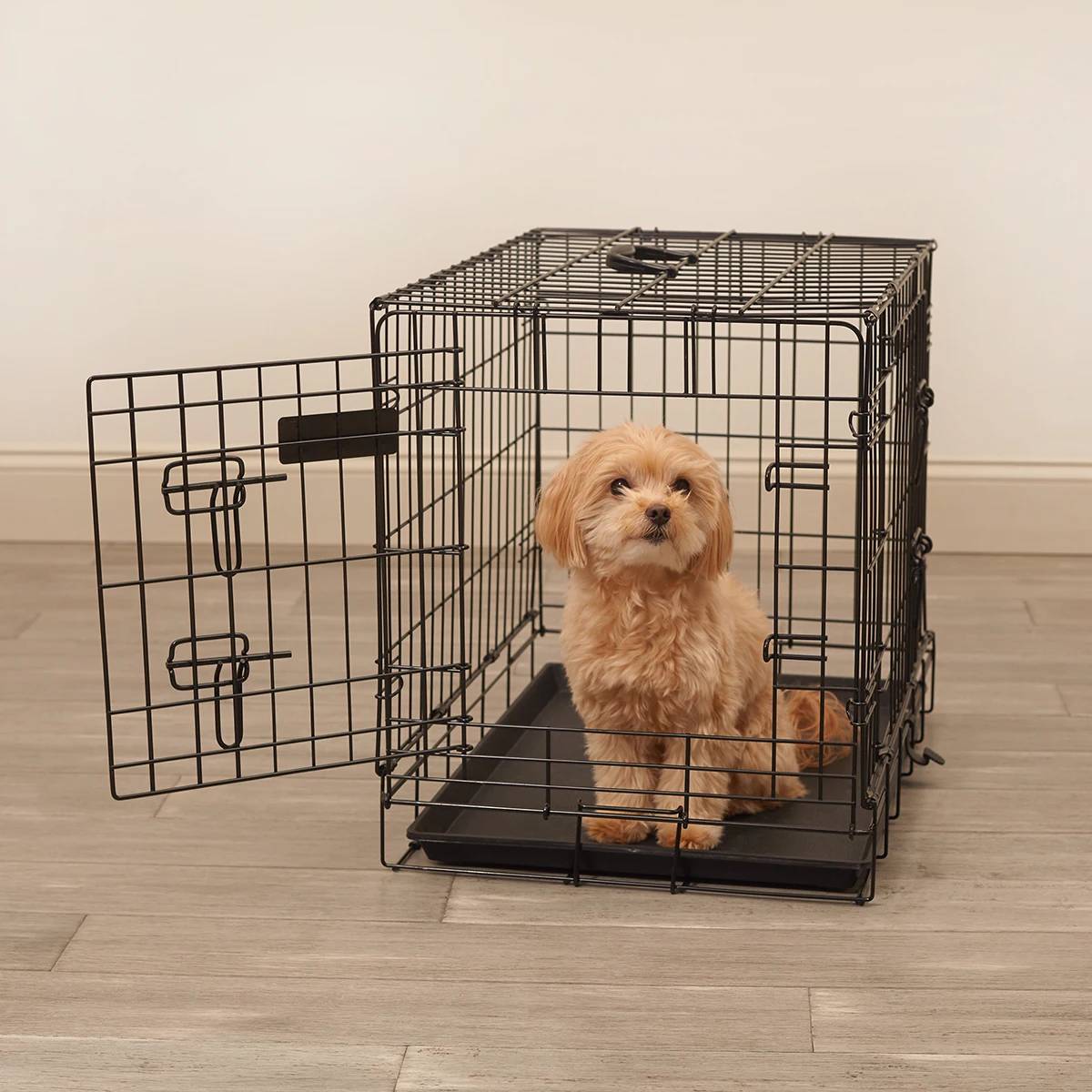 

Foldable Multiple Sizes Dog Crate Modern Metal Outdoor Pet Kennel