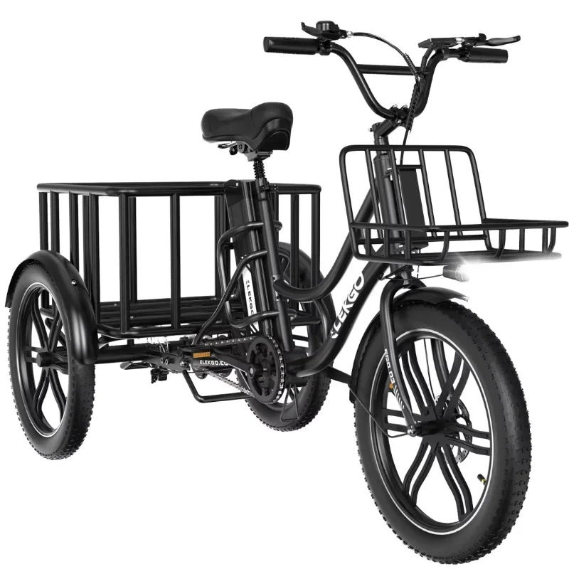 48V 18Ah EGO 03 Electric Cargo Tricycle Rear Hub Motor Steel 5-Speed Gear Front Back Baskets 250W Adults 120kg City Bike