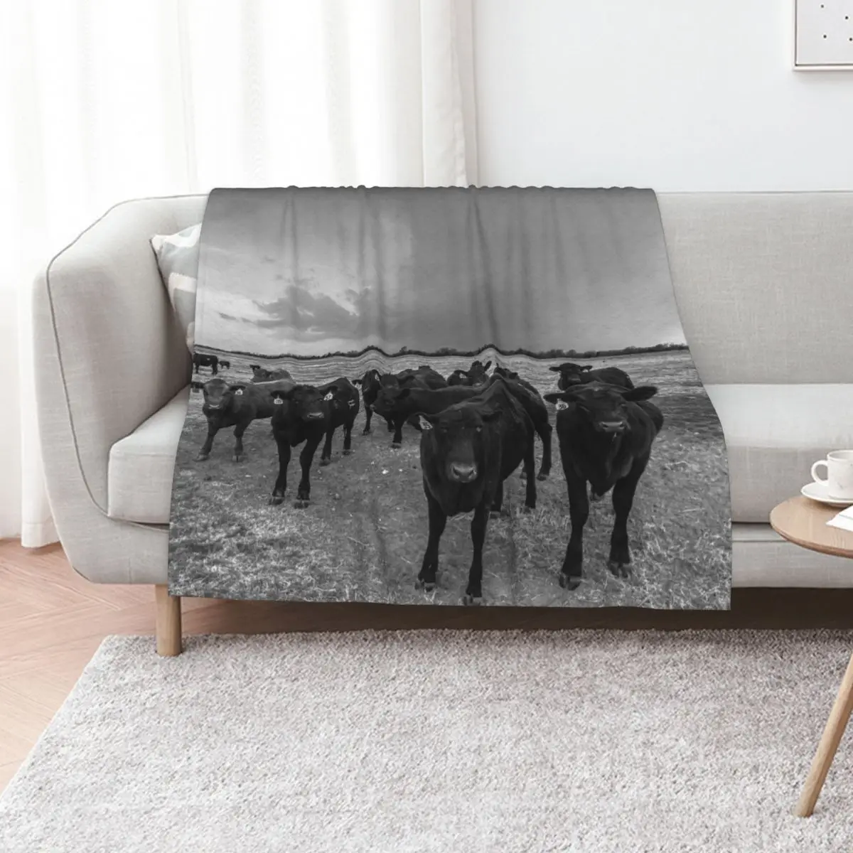 

Hanging Out - Angus Cows Gather as Storm Brews in Kansas Throw Blanket Comforter Camping Luxury St Sofa Quilt Blankets