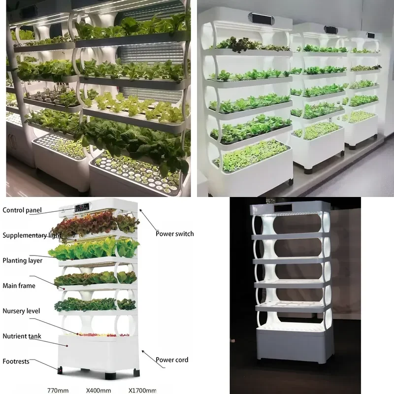 

SFW Certificate Smart Hydroponic Family Indoor Hydroponic Growing System LED Grow Light Planting Cabinet for Lettuce/