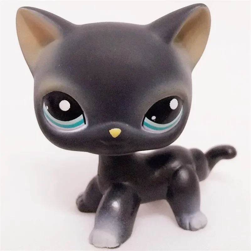 Classic Lps Pet Shop Toy, Shorthair Cat, Cute Tiger, Lps Ação, Presentes clássicos, Presentes infantis, Frete Grátis, Novo