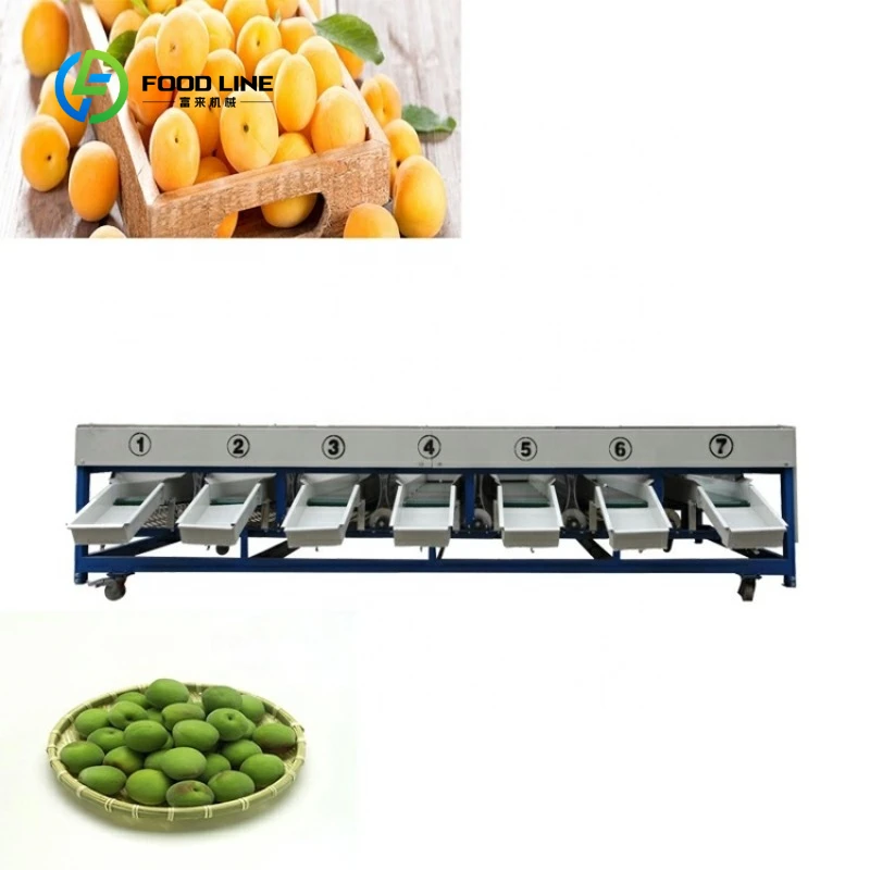 Automatic High Capacity Easy Operation Stainless Steel Factory Directly Fruit Sorting Machine