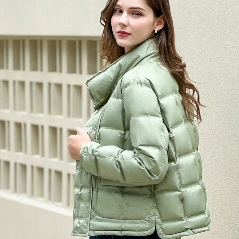 Short Down Puffer Coats for Women, Stand-up Collar, Two Sides Wear, Warm Outerwears, Korean Fashion, 2024 Winter