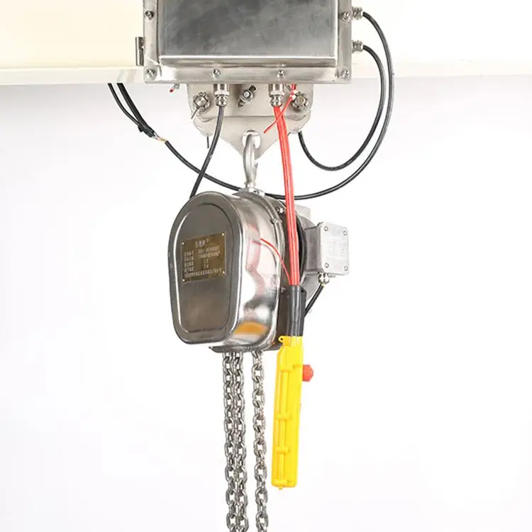 

Best Selling Multifunctional Lever Hoist Building Lifting Custom Pulley 10ton Stainless Steel Electric Chain Block