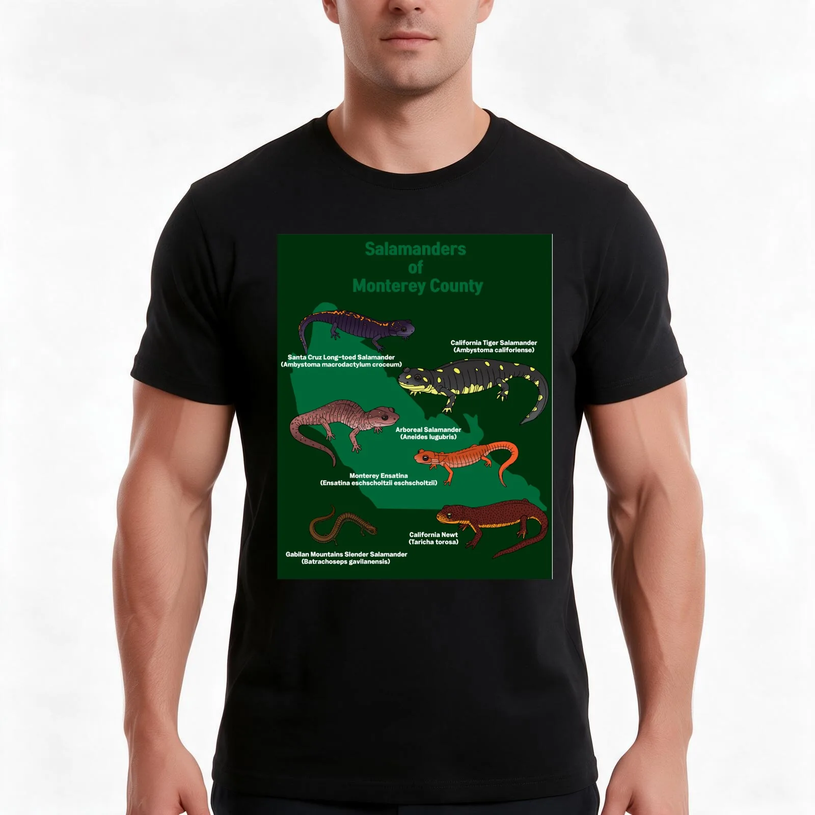 Salamanders of Monterey County T-Shirt Summer Casual Cotton Tee Oversized Streetwear Tops Vintage Graphic Print 100% Cotton