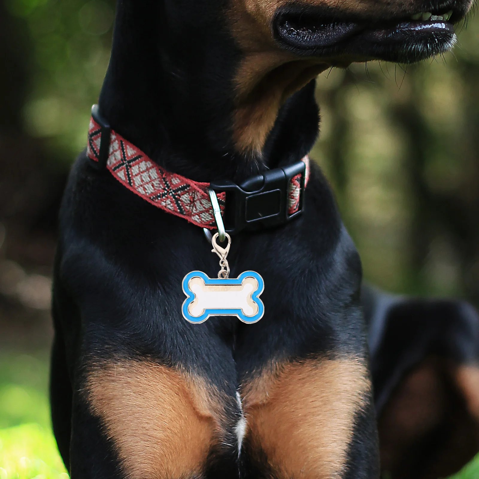 2 قطعة علامات معرف الحيوانات الأليفة علامة الكلب المعدنية الفراغات الثقيلة مقاومة للخدش علامة اسم مخصص للكلاب القطط مع لمسة نهائية ناعمة