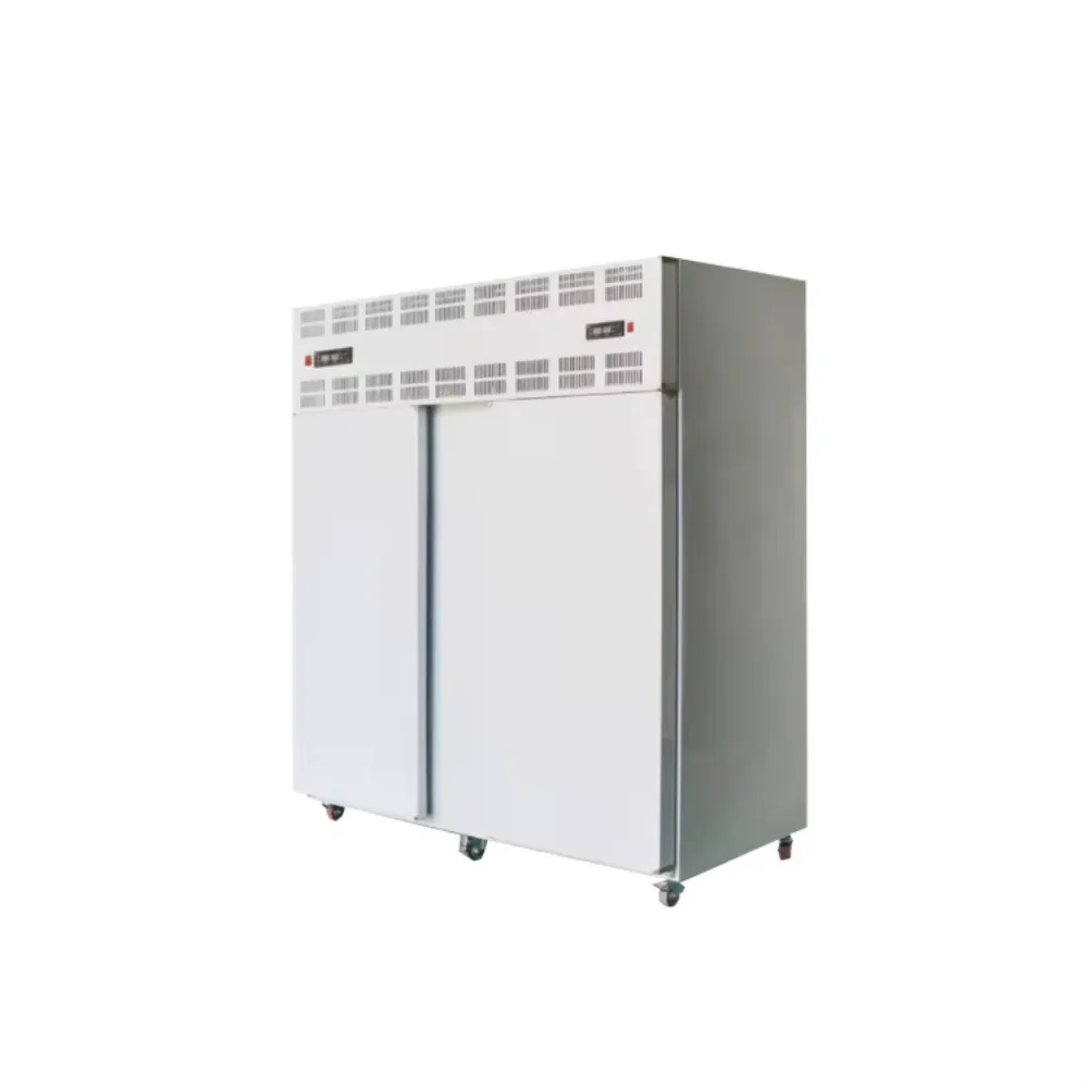 2023 New Style Carpigiani Blast Freezer High Quality 1.5m Air-Cooled/Frozen 170 Yingtai 850*930*1430 2 Doors MOTOR 220v/50HZ