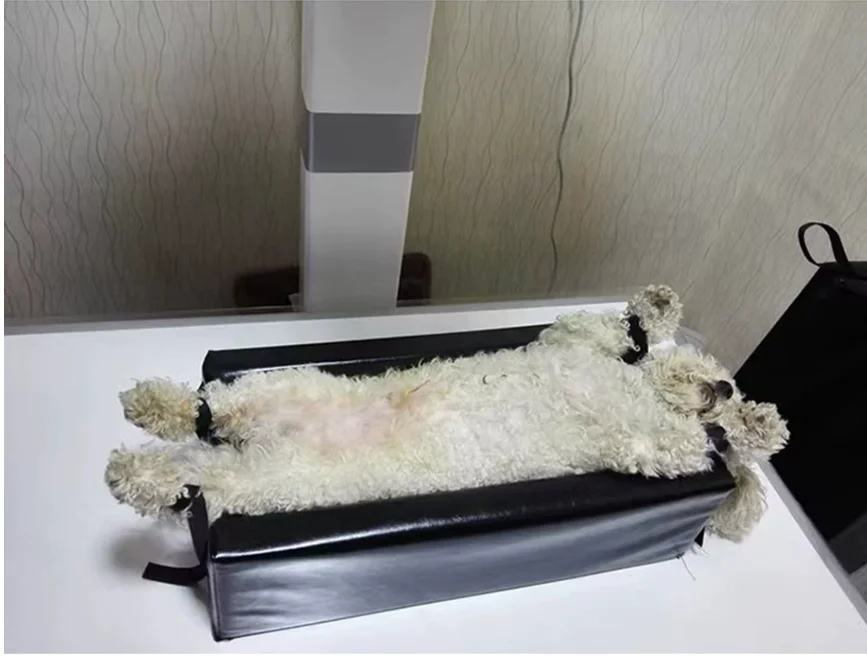 Small size    Animal Xray machine tools Veterinary Hospital Pet Use Radiographic Positioning Aid X-ray Positioner X-ray Mat