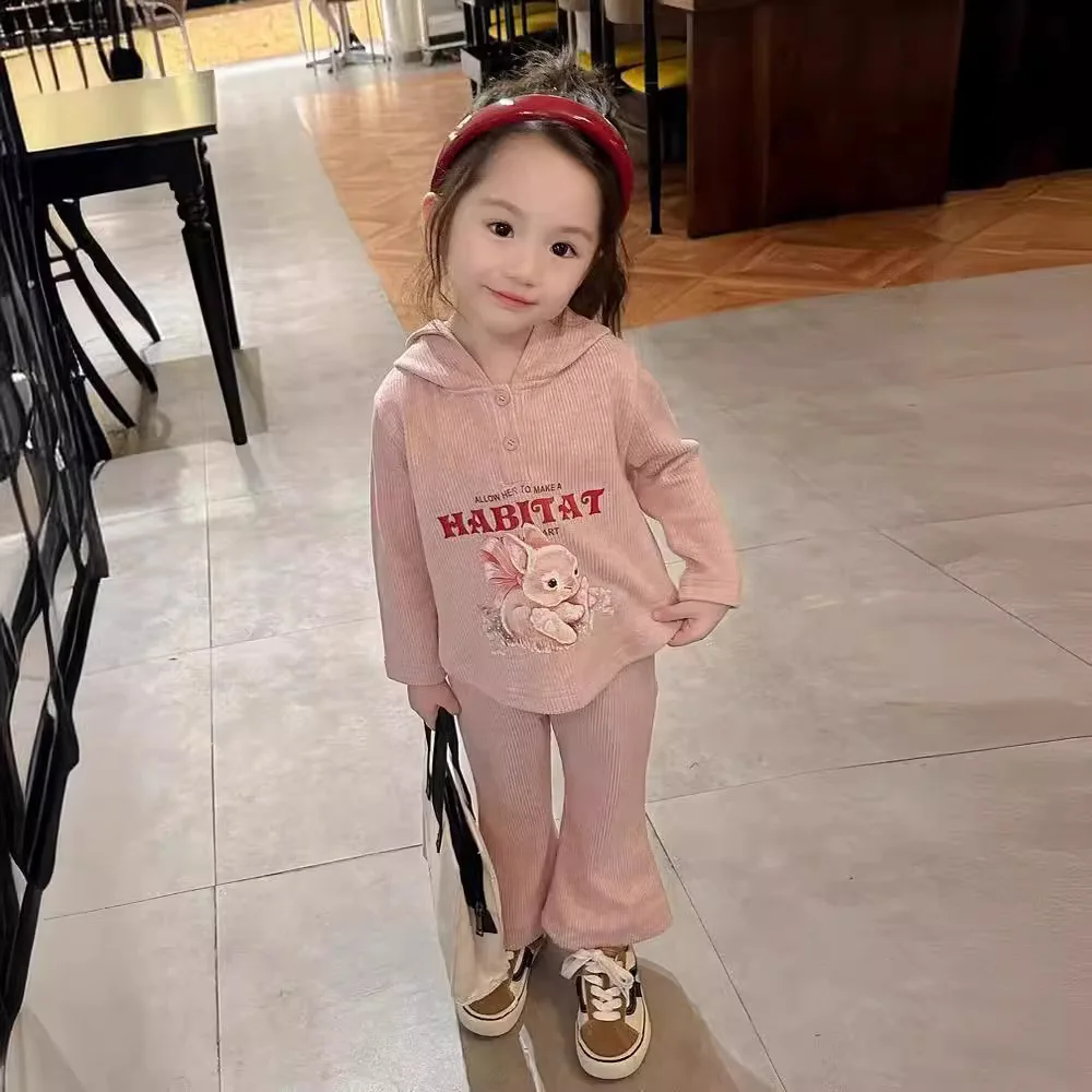 Spring 2025 Kids Baby Girls 2PCS Clothes Set Hooded Cotton Cartoon Long Sleeve Tops Solid Pants Suit Toddler Girls Outfits