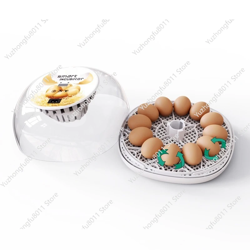 incubateur-a-œufs-de-poulet-pour-12-œufs-pour-enfants-experience-scientifique-familiale-educative-equipement-d'incubation-cadeau