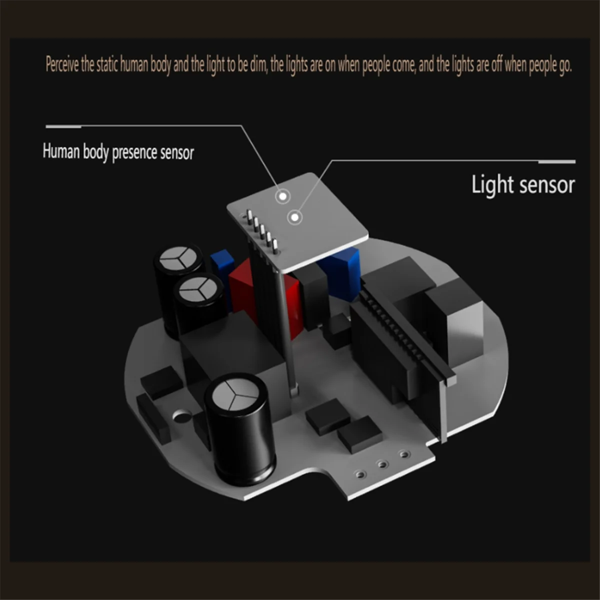 A45U Human Body Pre…