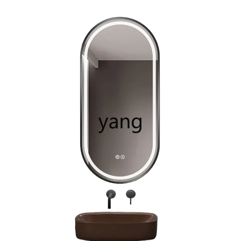 LTT Smart Bathroom Oval Toilet Framed Wall Hanging Sink Makeup Mirror