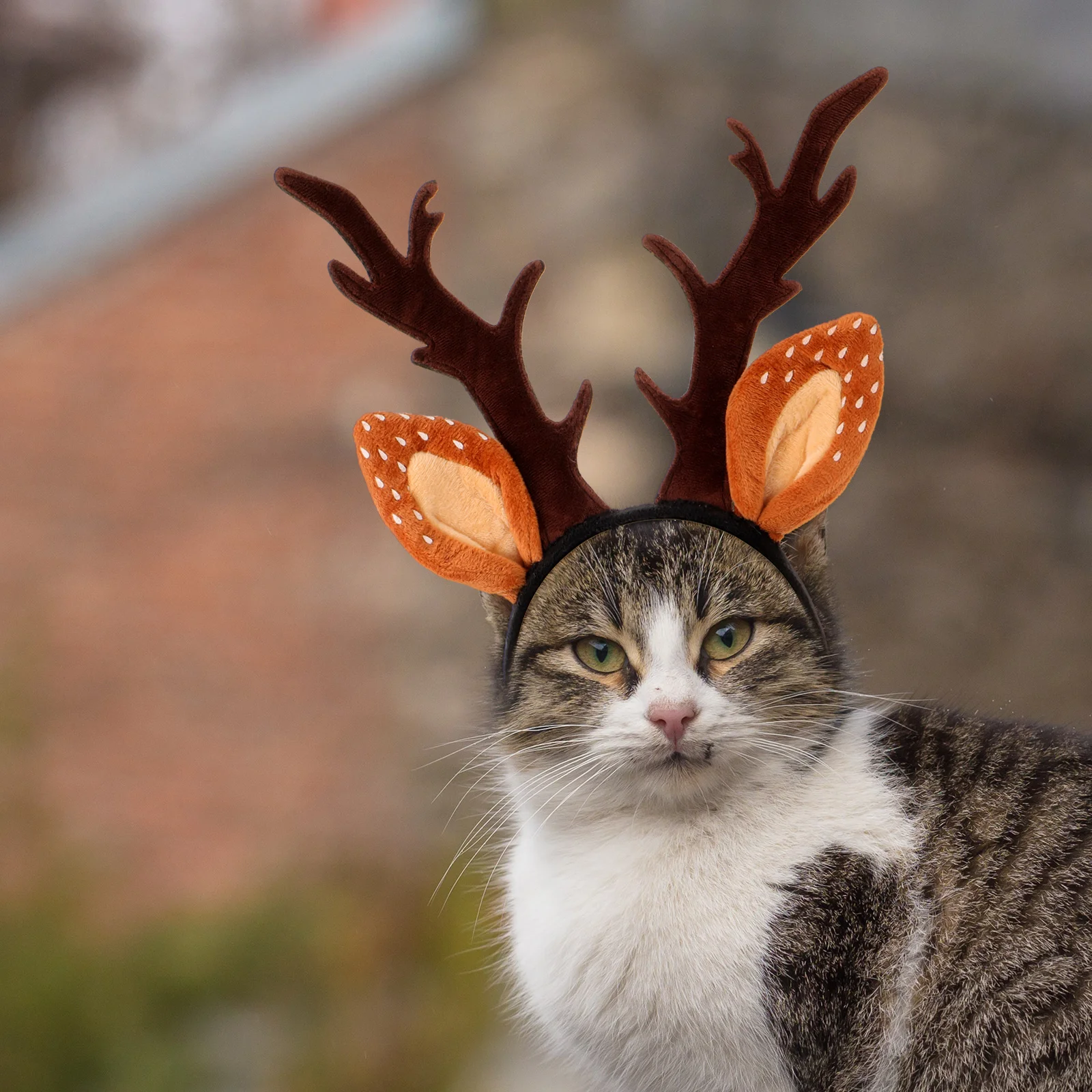 

Adorable Christmas Cat Headband Antlers M Size No Fading Non-Deformable Comfortable for Pet Kitten