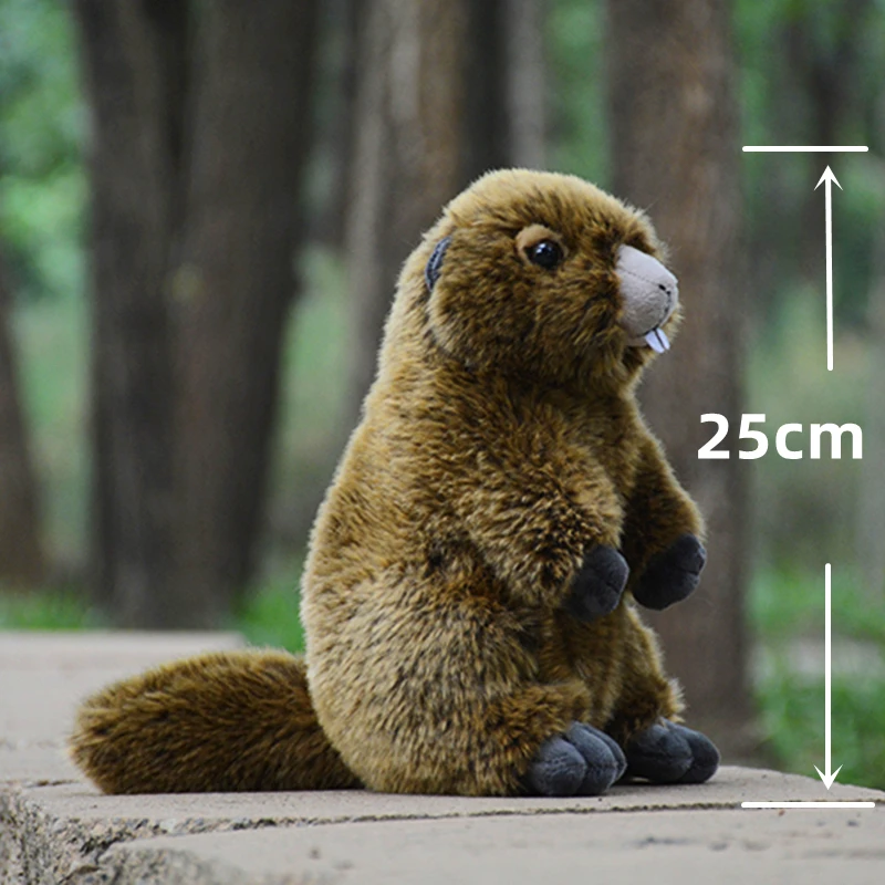 Groundhog High Fidelity Cute Marmot Plushie Beaver Plush Toys Lifelike Animals Simulation Stuffed Doll Kawai Toy Gifts For Kids