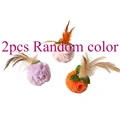 2pcs Random color