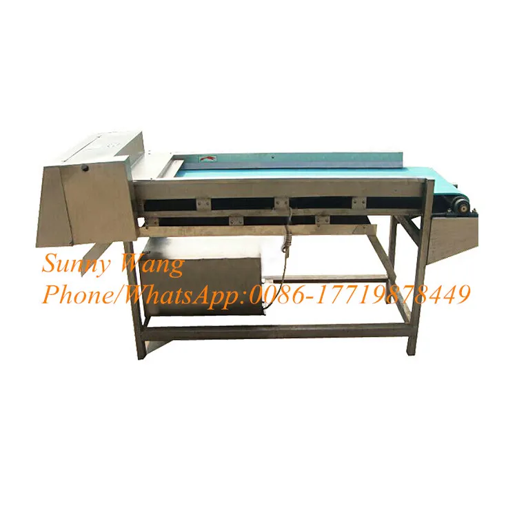 เครื่องตัดสารเลื่อนเห็ดสแตนเลส 304 เครื่องตัดหน่อไม้ฝรั่งเครื่องตัดสาหร่ายทะเล