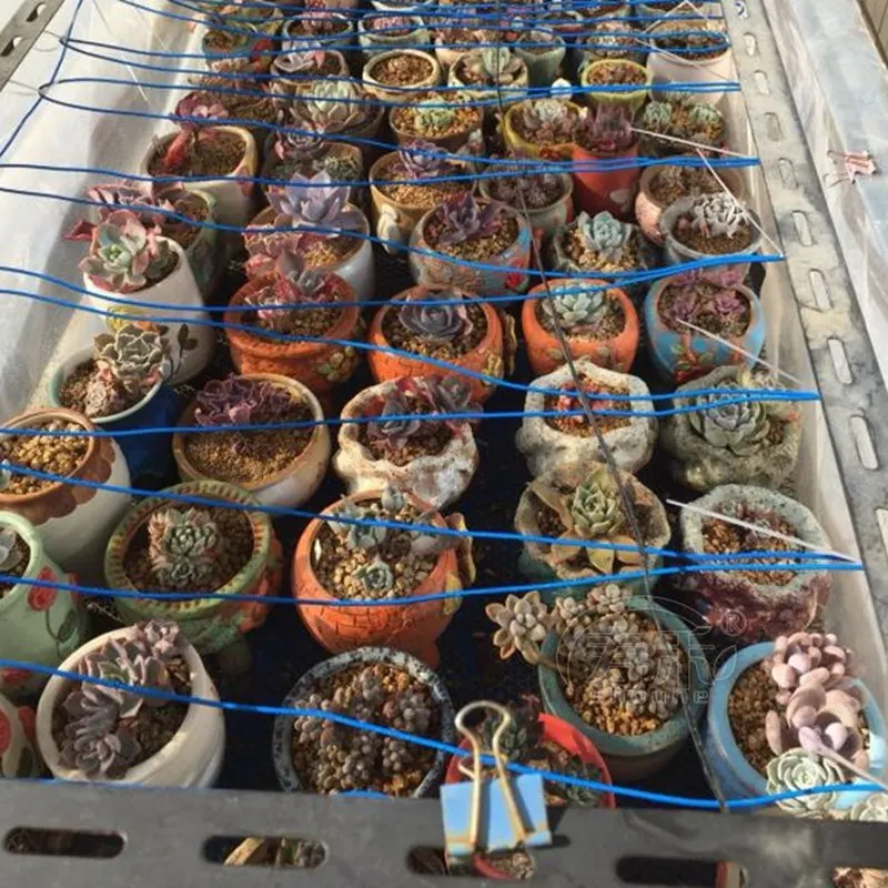 30m~120m Greenhouse Temperature Control Line Nursery Bed Geothermal Wire Air Soil Heating Wire Cable Garden Plants Heater